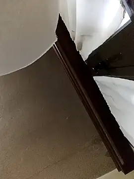 White rabbit  online show from December 11, 2024, 4:53 pm