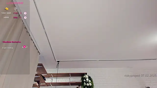 Riskyproject online show from February 7, 2025, 7:40 am