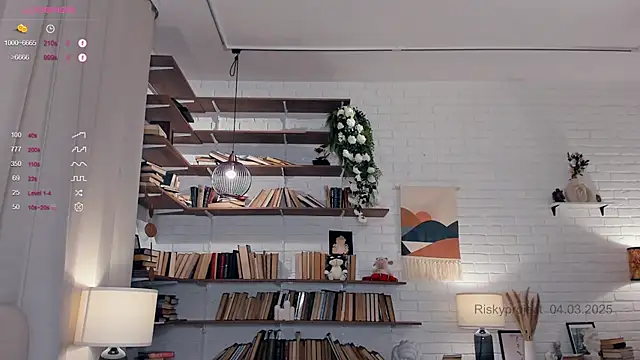 Riskyproject online show from March 4, 2025, 1:17 pm