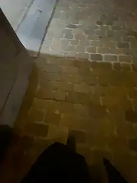 Thepanthera online show from September 22, 2025, 4:47 am