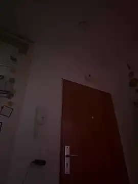 Toyjungee online show from December 23, 2024, 1:03 pm