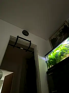 Toyjungee online show from September 22, 2025, 6:59 am