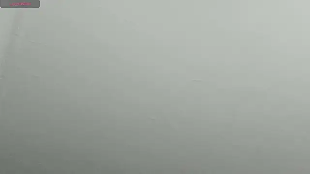 natasha logan  online show from February 9, 2025, 4:25 am