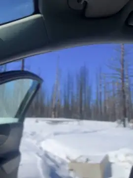 Snapshot of GoldenFlameGoddess chatting on March 6, 2025, 7:54 pm GoldenFlameGoddess online show from March 6, 2025, 7:54 pm