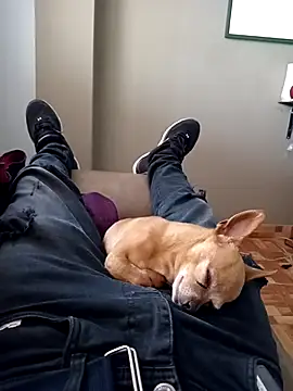 Jeanka18z online show from October 23, 2025, 5:33 pm