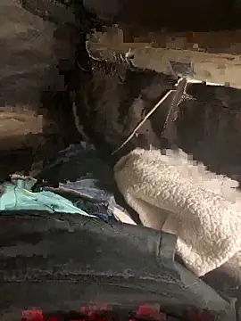 Snapshot of prekumstud chatting on November 18, 2025, 2:32 pm prekumstud online show from November 18, 2025, 2:32 pm