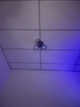 Charly  online show from November 16, 2025, 5:46 am