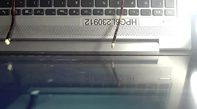 Snapshot of Berry_wet_xxx chatting on January 15, 2025, 1:20 pm Berry wet xxx online show from January 15, 2025, 1:20 pm