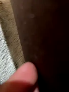 Snapshot of la_chiennete chatting on November 18, 2025, 9:30 pm la chiennete online show from November 18, 2025, 9:30 pm