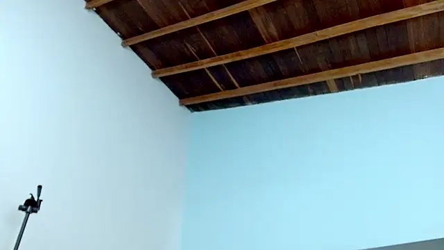 Snapshot of sophia_hadid chatting on January 18, 2025, 7:58 pm sophia hadid online show from January 18, 2025, 7:58 pm