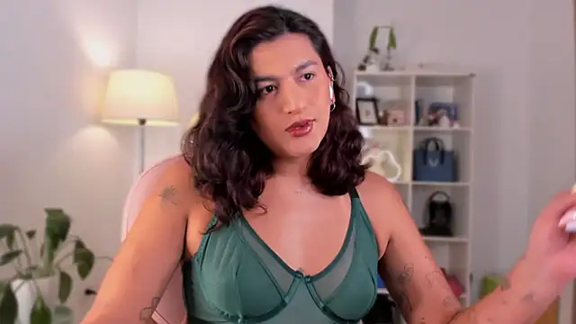 Snapshot of ari_artis chatting on February 13, 2025, 1:40 am ari artis online show from February 13, 2025, 1:40 am