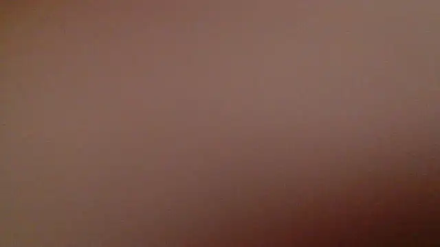 Snapshot of DanieleAida chatting on January 9, 2025, 5:55 am DanieleAida online show from January 9, 2025, 5:55 am