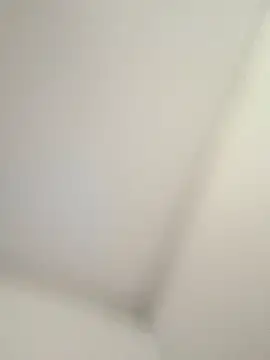 CelesteBailey online show from September 26, 2025, 8:29 am