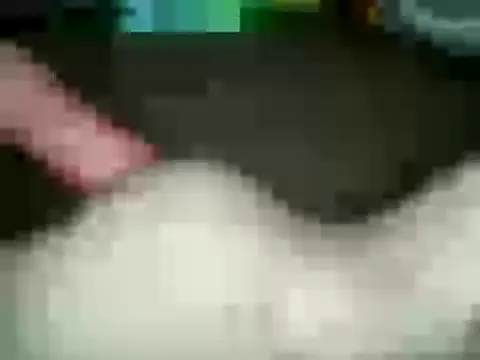 Snapshot of xxxlecram chatting on January 15, 2025, 11:53 am xxxlecram online show from January 15, 2025, 11:53 am