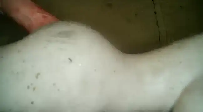 Snapshot of xxxlecram chatting on March 5, 2025, 9:48 pm xxxlecram online show from March 5, 2025, 9:48 pm