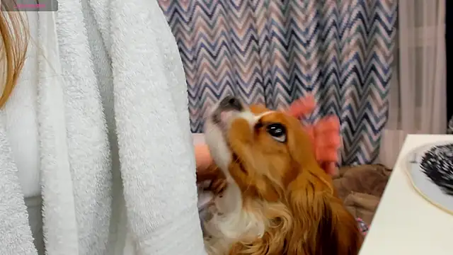 Peggy Beauty online show from January 15, 2025, 12:19 am