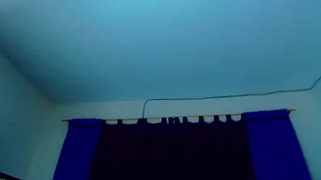 Pamela Dior online show from December 3, 2025, 5:26 am