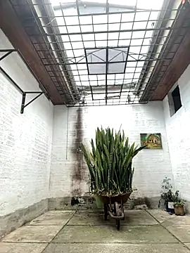 oliver price1 online show from September 26, 2025, 7:07 pm