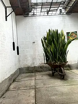 oliver price1 online show from October 21, 2025, 3:13 pm