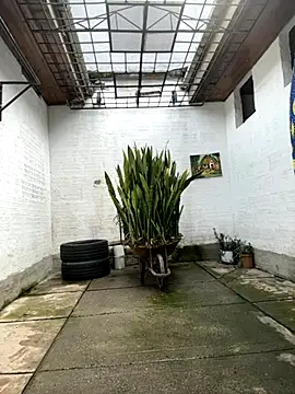 oliver price1 online show from October 27, 2025, 7:18 pm