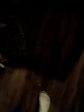 Snapshot of Donglong80 chatting on November 17, 2025, 11:16 am Donglong80 online show from November 17, 2025, 11:16 am