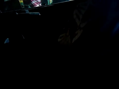 Snapshot of Kolkata___Boy chatting on September 16, 2025, 4:52 pm Kolkata Boy online show from September 16, 2025, 4:52 pm